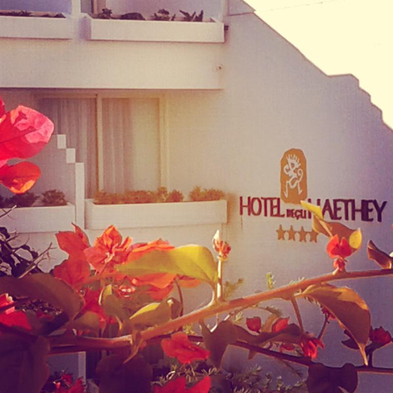 Hotel Degli Haethey Otranto Esterno foto